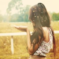 Dandelion petals