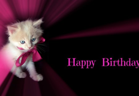 Happy Birthday, dear Karyn! - word, happy birthday, cat, blue eyes, black, kitten, bow, pink, animal, sweet, cute