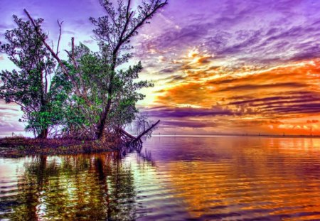 GORGEOUS SUNSET - lake, trees, landscape, sunset, land