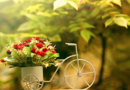 Still Life - good morning, popular, 3d and cg, wallpaper, bicycle, abstract, red, beautiful, flowers