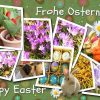 ♥ Frohe Ostern ~ Happy Easter ♥