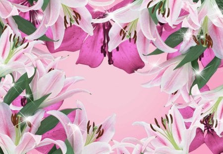 Pink Lilies - lilies, beauty, spring, white, art, pretty, beautiful, pink, green, flowers