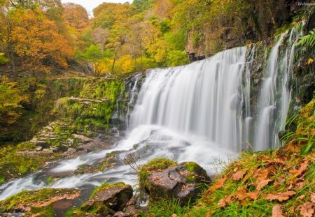 Autumn Falls - autumn, falls, day, waterfalls, nature, yellow, flowing, green, leaves, rock, grass