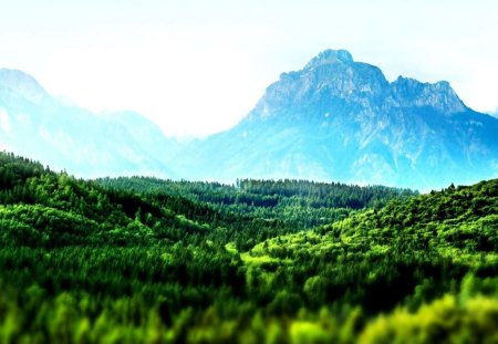 Green - green, forest, mountains, tree, sky