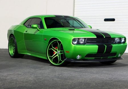 Dodge Challenger - green, challenger, car, dodge