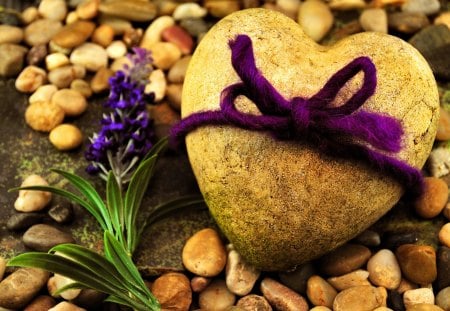 Stone heart - pretty, heart, romantic, beautiful, lovely, love, flower, leaves, stones, nature, purple, nice, rocks