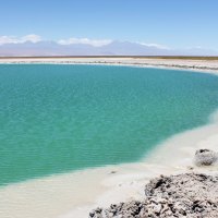 Cejar salad lake