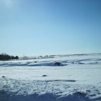 White Nature with a blue clear sky