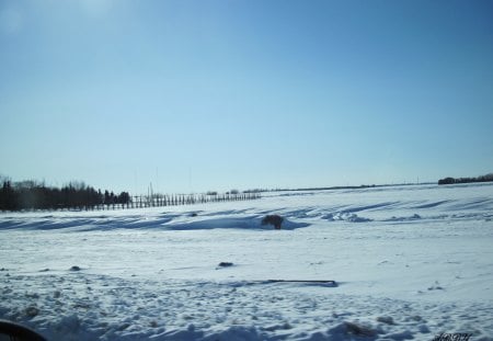 White Nature with a blue clear sky - white, nature, photography, snow, Winter, sky