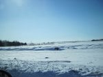 White Nature with a blue clear sky