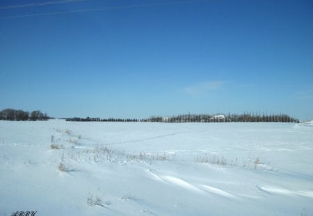 A Blue Sky - white, sky, blue, snow, photography