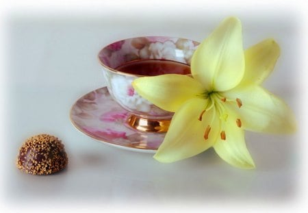 Cup of tea and lily flower - delicate, other, model, yellow, lily, tasty, petals, soft, tea, wallpaper, cup, nature, candy, abstract, floral, pink, flowers, porcelain