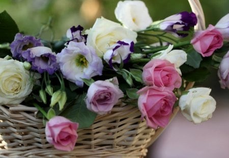 For my Sweetie Chloe. She loves roses in the basket. - flowers, white, pink, green