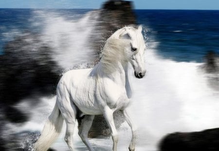 white and blue - white and blue, white and, horse, blue