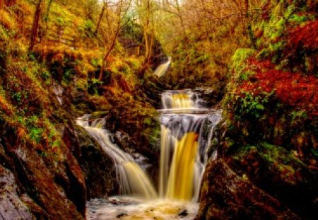 INGLETON WATERFALLS - HDR, waterfalls, nature, woodland, IngletonFalls, forest