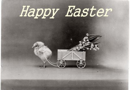 Happy Easter - greetings, photography, wp, easter, bw, black, white, chicken, vintage, wishes, lily of the valley, cute, retro