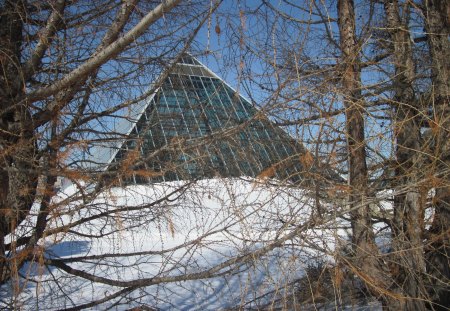 Muttart Conservatory of Edmonton 07 - white, sky, winter, photography, trees, pyramids, blue, snow