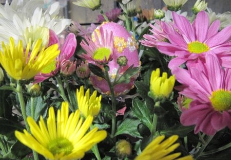 Happy Easter from the garden 02 - Egg, Flowers, yellow, green, photography, daisy, pink