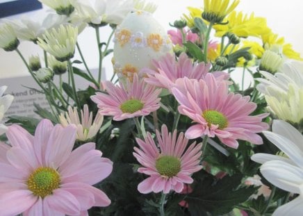 Happy Easter from the garden 03 - white, pink, egg, flowers, daisies, photography, yellow