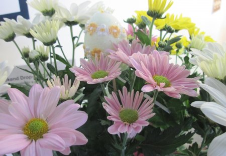 Happy Easter from the garden 04 - pink, flowers, egg, photography, yellow, green