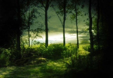 Mystic Green Forest - pretty, trees, outdoors, nature, beautiful, green, mystic, lake