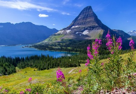 Morning at hidden lake - pretty, summer, mountain, flowers, shore, view, peak, cliffs, hidden, lake, nice, sky, clouds, trees, beautiful, slope, morning, lovely, nature, rocks