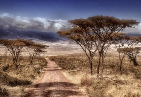 Dry season - clouds, trees, africa, road, landscapes, mountains