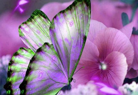 Awesome Butterfly - green, butterfly, flower, pink