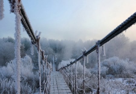 frozen suspension bridge - ice, bridge, bushes, pedestrian