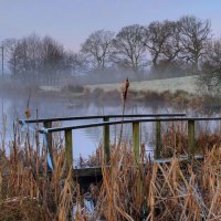 bridge out of order on a misty pond