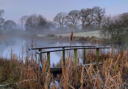 bridge out of order on a misty pond - ducks, broken, pond, bridge, mist