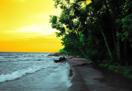 colored scenery - beach, trees