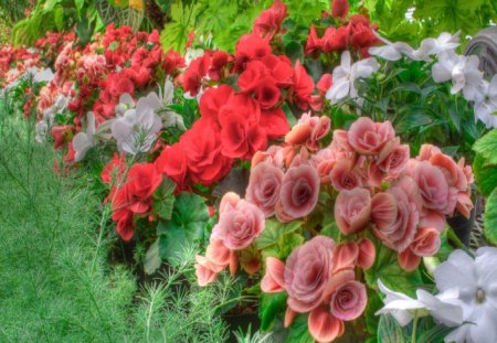 A Bed to Sleep In - flowers, nature, sleep, bed