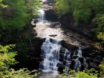 Waterfall in forest