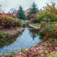 	autumn park shades