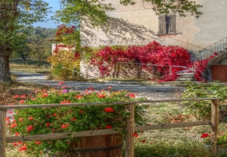 	A tumbledown country house - house, tumbledown, flower, country