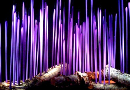 Purple Flames of Glass - purple, flames, glass, dale chihuly, fire