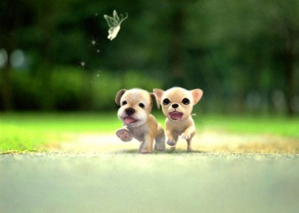 Two_Small Dogs running