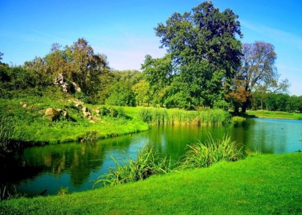 Green garden - gardens, forests