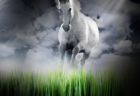 White Beauty Among The Grass - fantasy, horses, grass, fantasy horse, white horse, animals