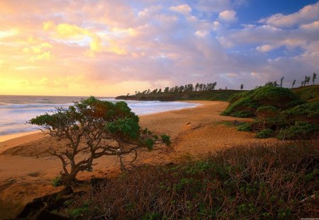 sunset beauty - beachview, sunset