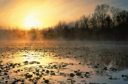 Nature beauty landscapes - nature, sunset