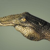 Crocodile Hand