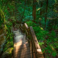 	Lynn Canyon Descent