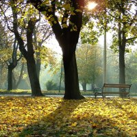 PARK SIDE