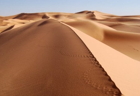 Desert - city, nature, place