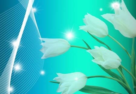 White Tulips Sparkle - shine, sparkle, tulips, flowers, spring, stars, gradient, cyan, glitter