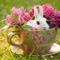 Easter Bunny