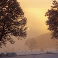 winter dawn on a farm