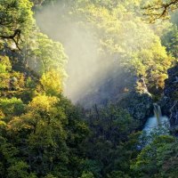 sunbeams on a jungle waterfall